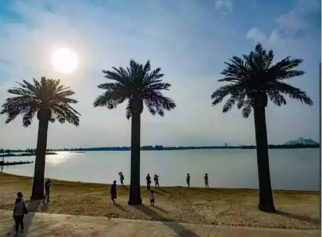 留在高淳还是去南京,在南京一定要去高淳吗