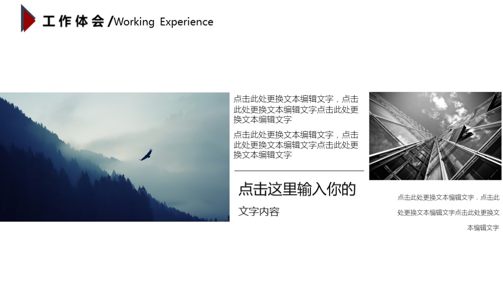 2017述职报告模板,2020年度述职报告图片ppt