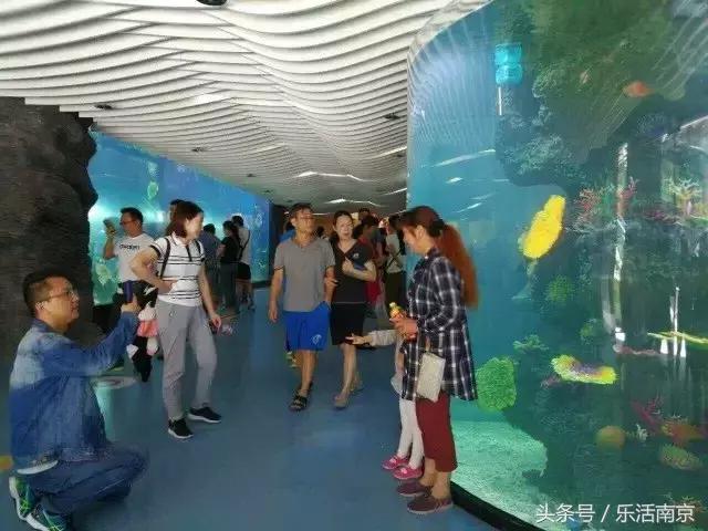 南京十大人气商场,2020南京重要商场排名