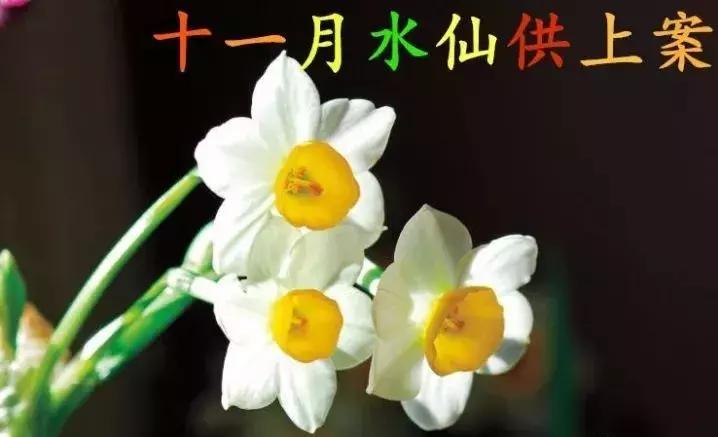 2021绝版绝美挂历,2018精美挂历有吗