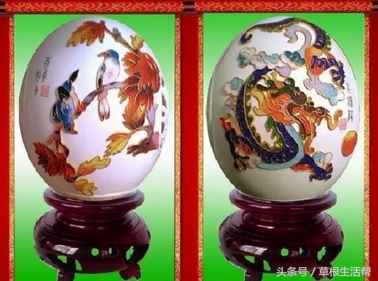 养殖“大笨鸟”，敲开致富门，80后回老家创业成为新一代农场主