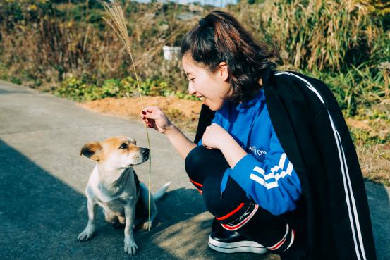 现在的东极岛,你知道凌晨四点的样子吗原视频