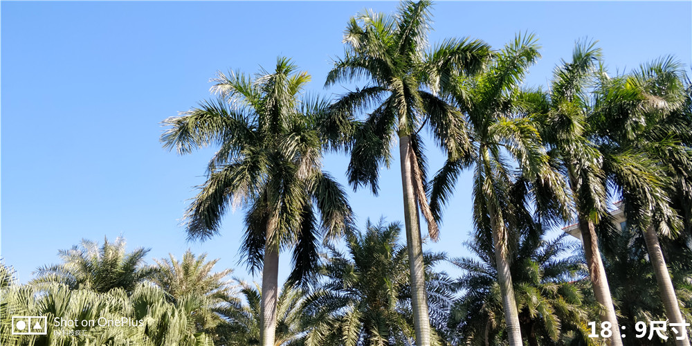 一加前世,一加以前的机型