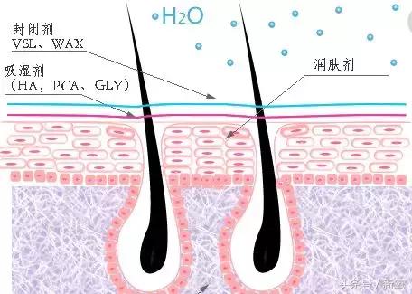 冯小刚钟楚曦苗苗,范冰冰和钟楚曦谁美