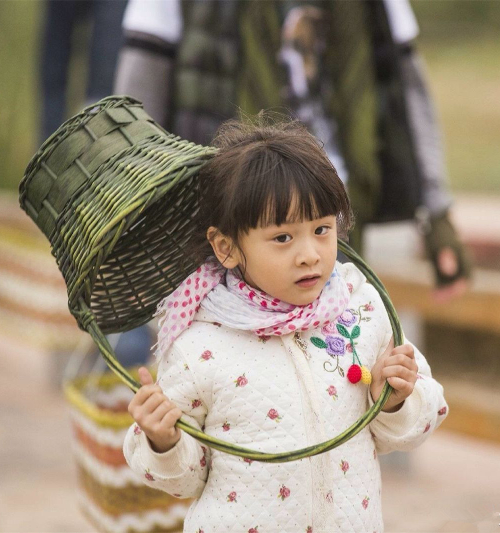 怪力小萝莉森碟现状,森碟多才多艺合集