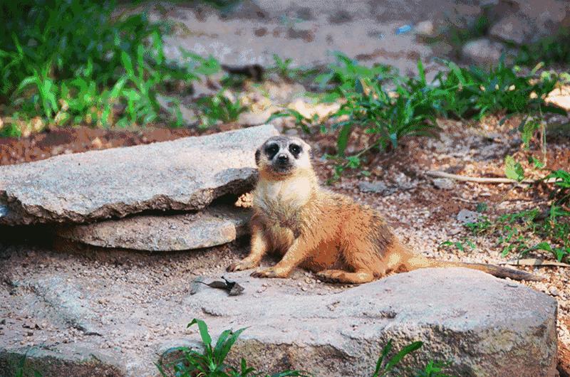 深圳攻略一日游必去景点,深圳一日游景点攻略最全