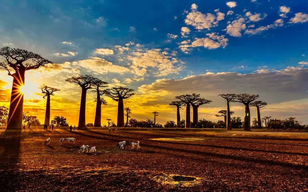 中国护照免签落地签国家,2022中国护照落地签证免签