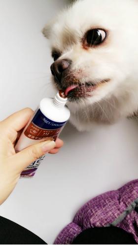 狗狗有必要吃软骨素吗,什么牌子的狗狗营养膏好