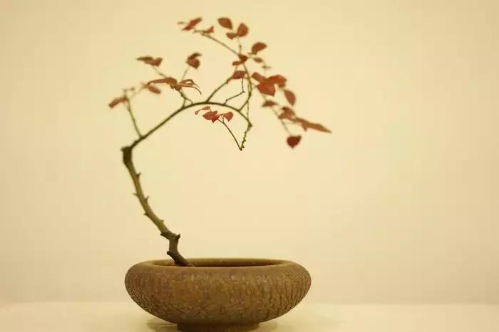 100句古今绝美句子,二十四史经典佳句30则附译文