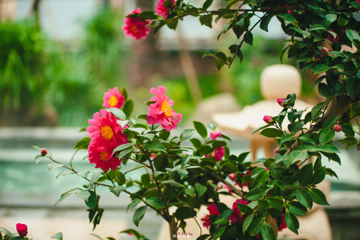 冬天去鲅鱼圈泡温泉,横店温泉谷可以泡温泉吗