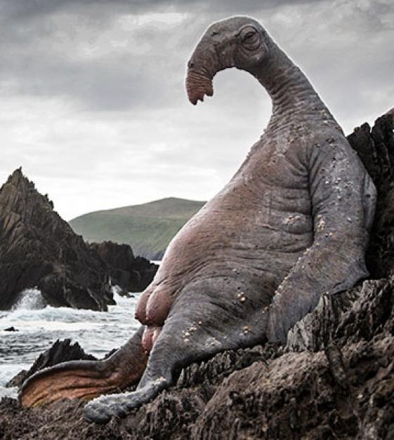 看星球大战的顺序,星球大战应该怎么看