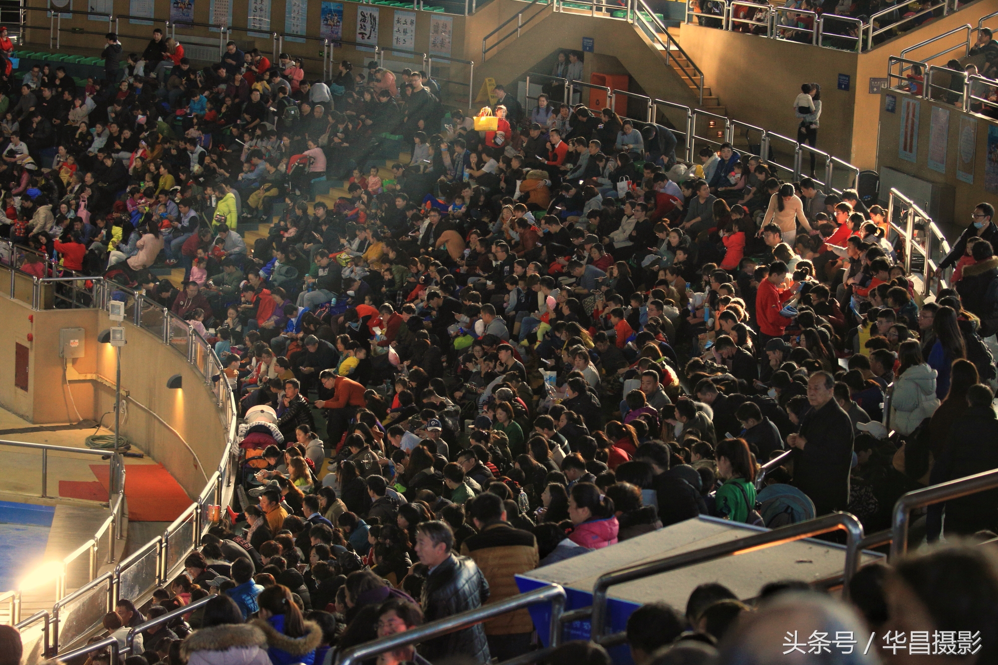 北京海洋馆海豚,北京海洋馆海豚表演时间表