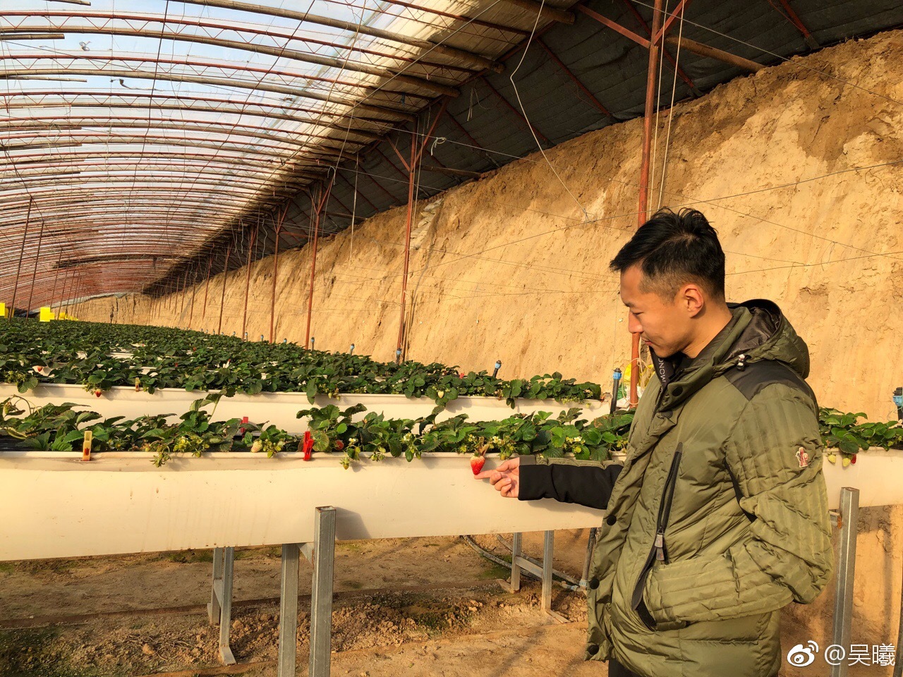 苏宁惊艳写真照,苏宁队长吴曦视频