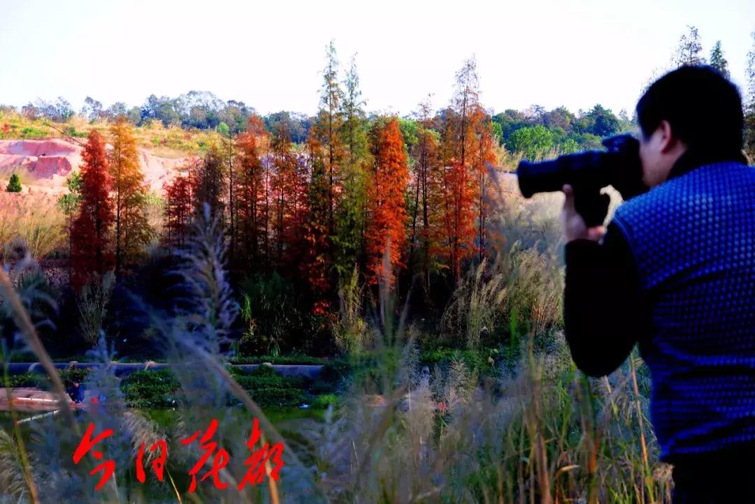 花都芙蓉嶂旅游景点,花都芙蓉嶂夜景