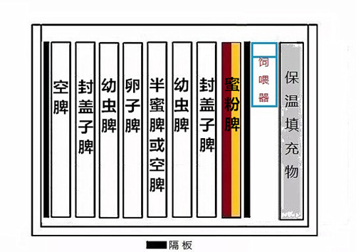 蜜蜂春繁分箱最简单方法,蜜蜂单脾春繁简易方法