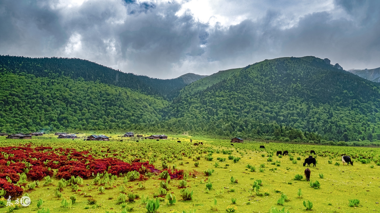 棣欐牸閲屾媺灏忚,棣欐牸閲屾媺灏忚by鏄ユ棩璐熸殑
