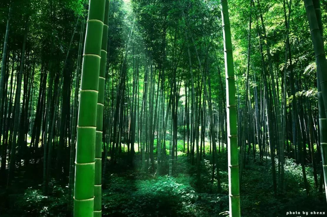 溧阳，江南私藏的秘境小城！