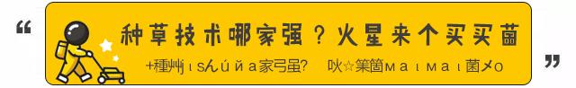 盘点十四款坑爹网红产品,盘点那些买了后悔的网红产品