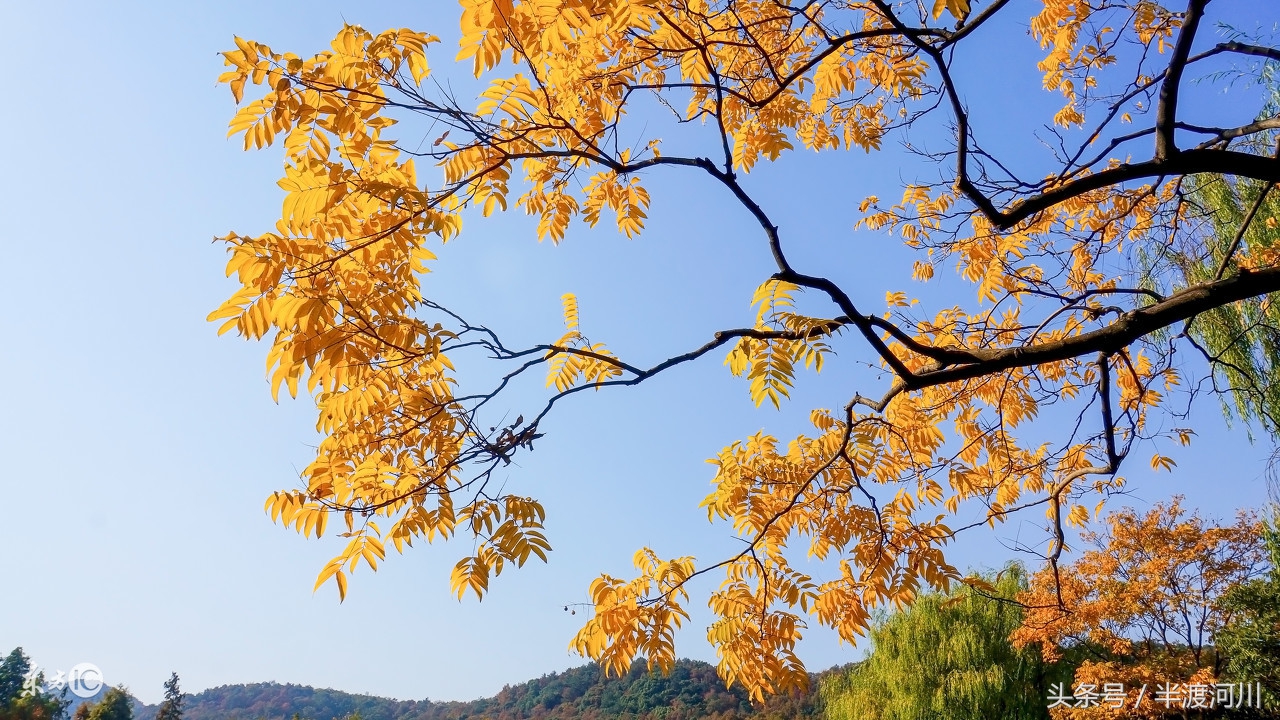 单行点影：跋涉（三）