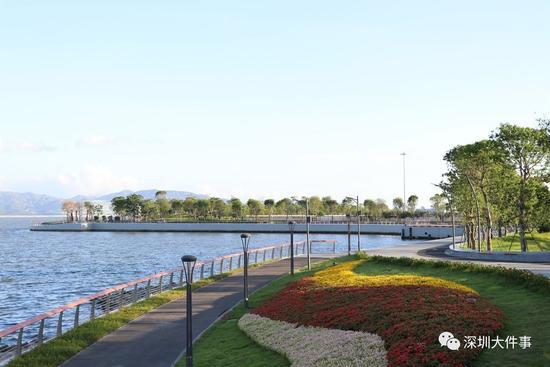 深圳新出好玩的地方,深圳市哪些公园比较值得去