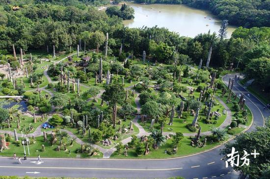 深圳新出好玩的地方,深圳市哪些公园比较值得去