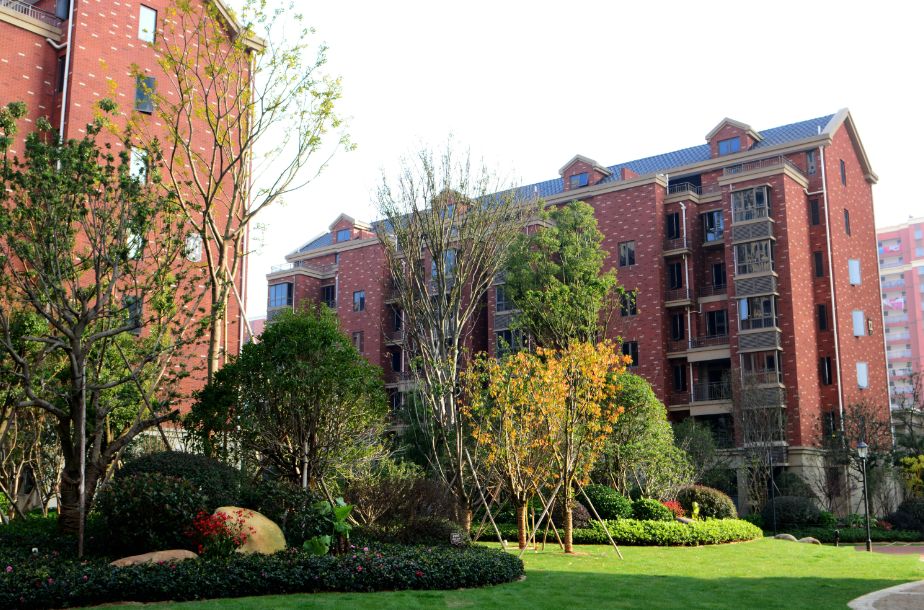 涓厗鏄熸渤姹囦竴鍙疯嫅,鎯婅壋缁芥斁