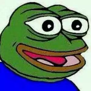 年度最佳奖项视频,年度最佳新人奖颁奖典礼