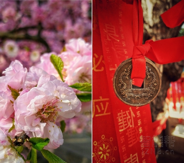 vivoxplay5评价,vivoxplay5测评