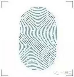 据说90%的人看完想辞职！苏州那些“别人公司的食堂”逆天了