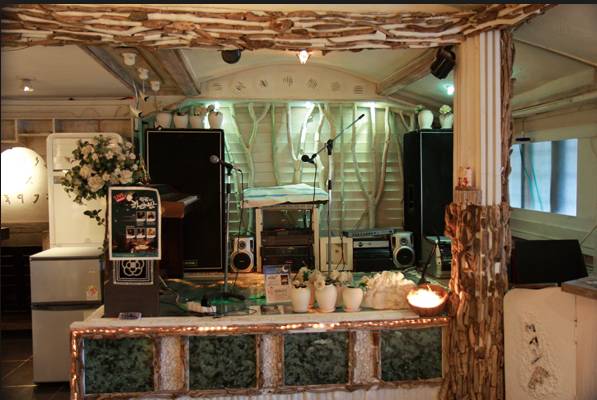 济州岛一个人旅行攻略,济州岛四月攻略