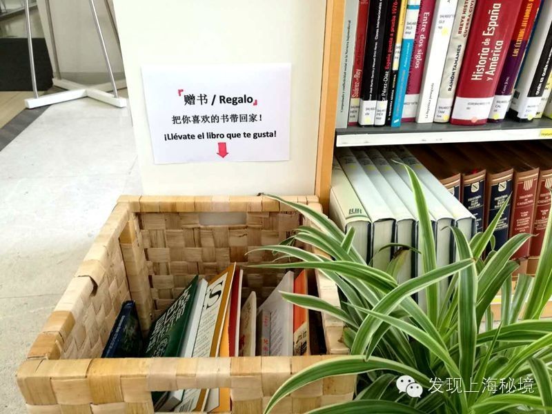 探街|这段路只有500米，但一整天都不够享受它