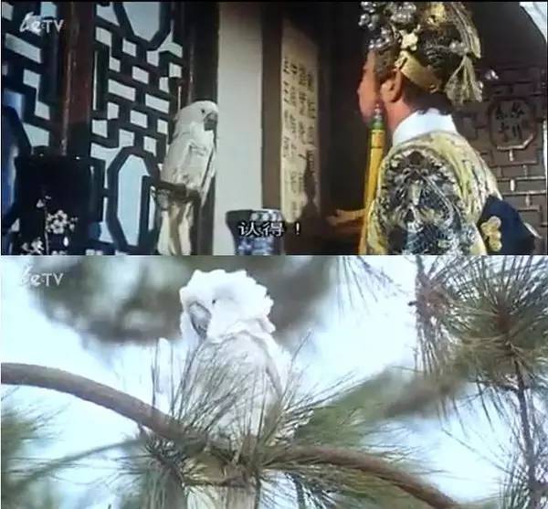 1981年上映武侠片堪称无厘头鼻祖,无厘头喜剧鼻祖八几年的电影