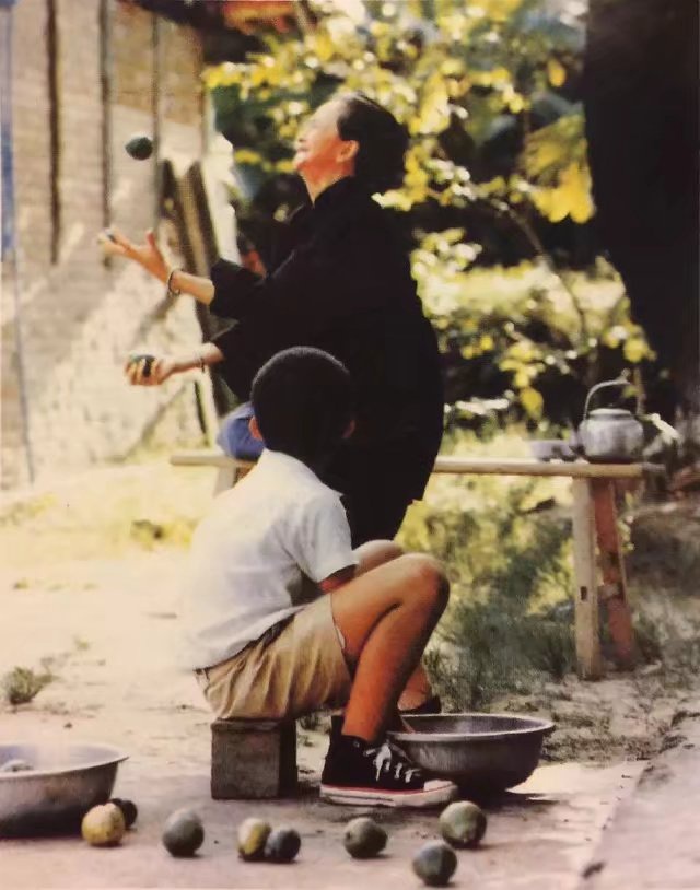 豆瓣日记:2017我的电影史——有关于行走、生活、一丁点儿爱情与艺术