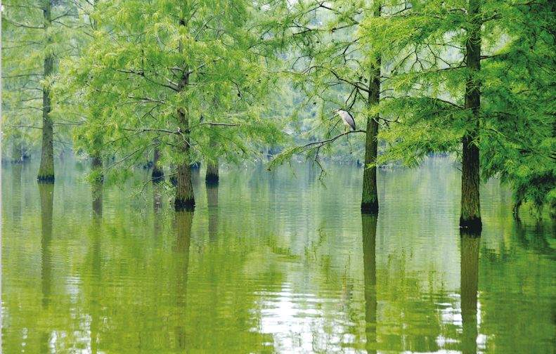 滁州市投资近100亿,总投资约22亿元滁州再签约