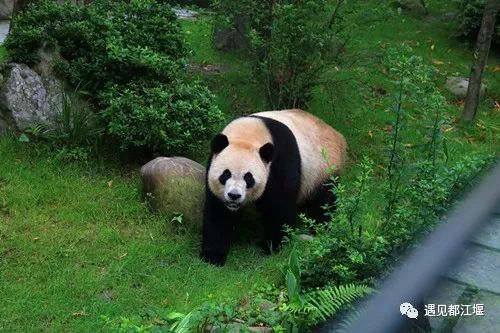 送福利元旦活动来一波,元旦送福利来啦