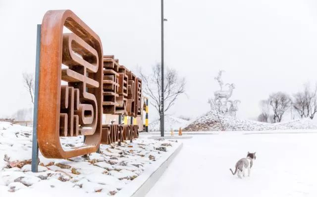 银川冬日风景,冬天银川必去的五大景点