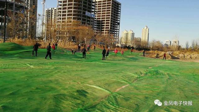 金凤区共同参与齐治理全力做好大气污染防治工作