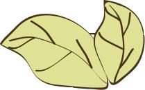 2018/01/17,975入职满周年，TA们这样说（一）