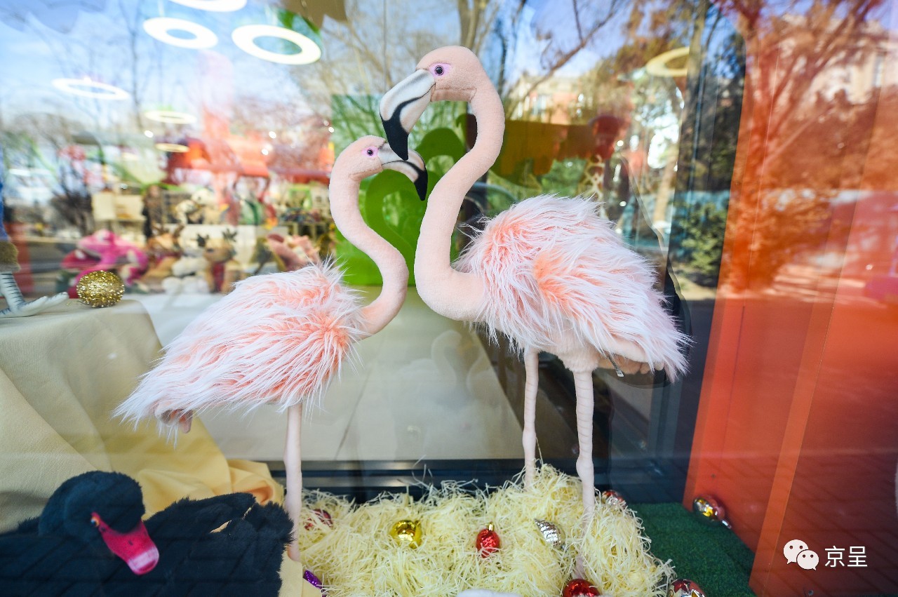 鹈鹕树懒食蚁兽?北京这家非主流玩偶店教你认认新萌物