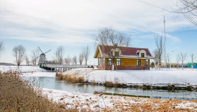 银川冬季风景优美的地方,银川冬天拍照好看的地方