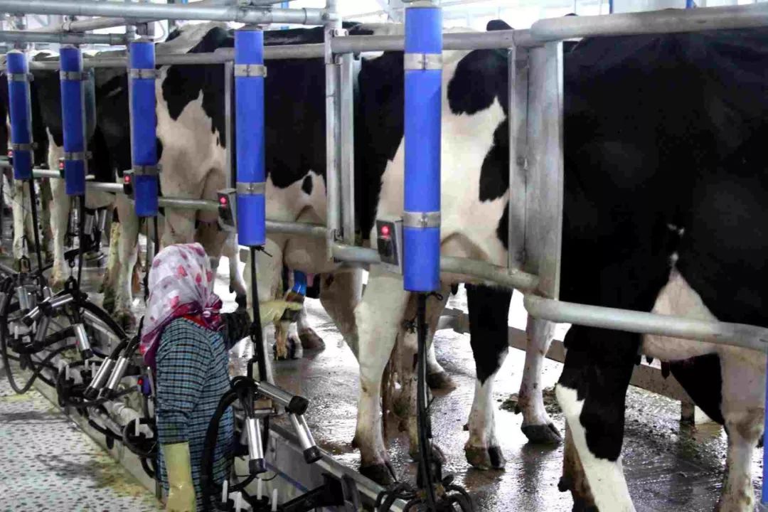 奈曼旗新闻最新今天,奈曼2018.02.14新闻