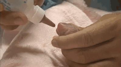 送福利元旦活动来一波,元旦送福利来啦