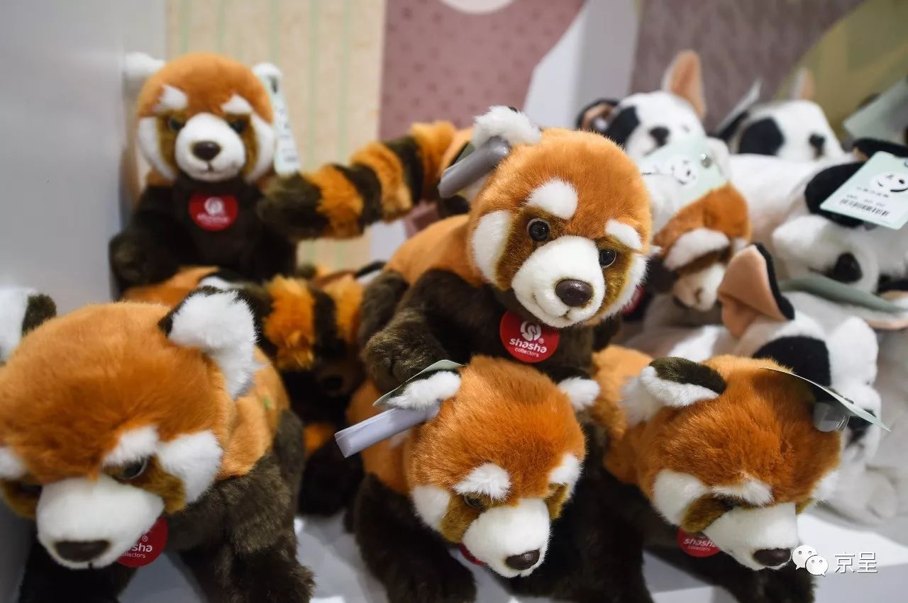 鹈鹕树懒食蚁兽?北京这家非主流玩偶店教你认认新萌物