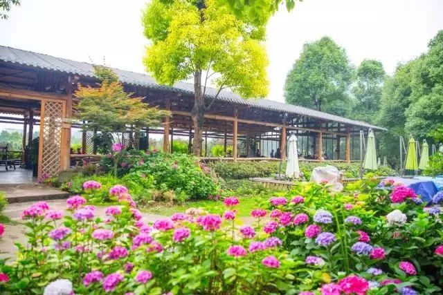 一个酸奶厂的利润有多大,一个酸奶小工厂