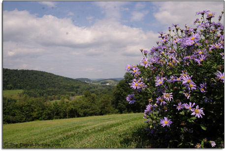 传感器可以清洗吗怎么清洗,传感器清洁步骤