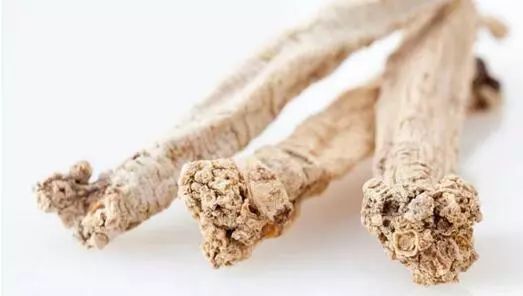 养生需要提醒的句子,养生知识大全及危害