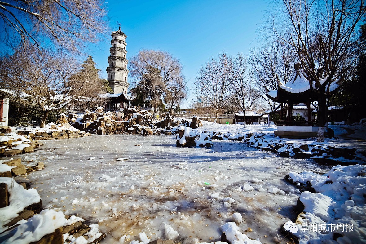 一场雪让风景美如画,一场雪景给城市带来美丽的风景