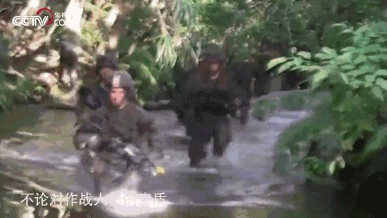 揭秘丛林战场，为什么很多军事行动都发生在丛林区？