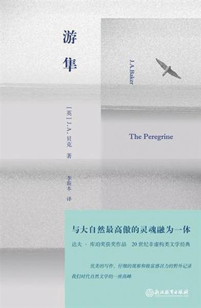 游隼成长记录完整版,游隼的性格