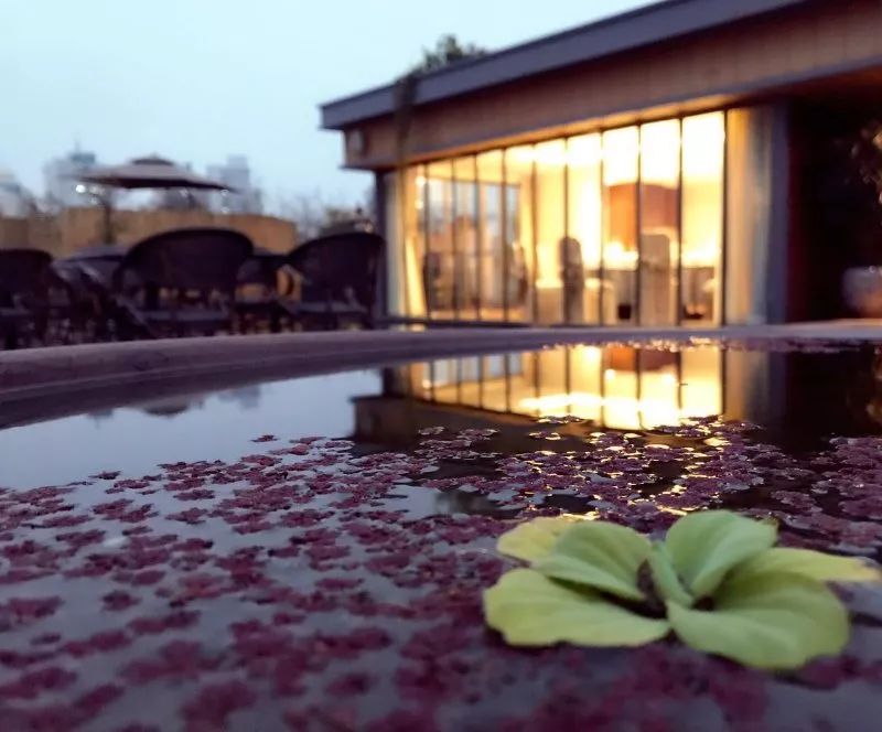 新城稀缺高雅私宴厅！大露台提升温州人分岁酒逼格！